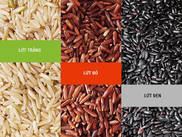 Có nhiều loại gạo lứt với nhiều mầu sắc khác nhau