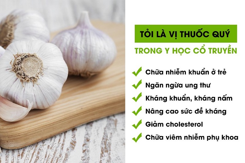 Tỏi chữa được nhiều loại bệnh