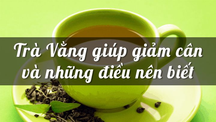 Trà Vằng giúp giàm cân và những điều nên biết