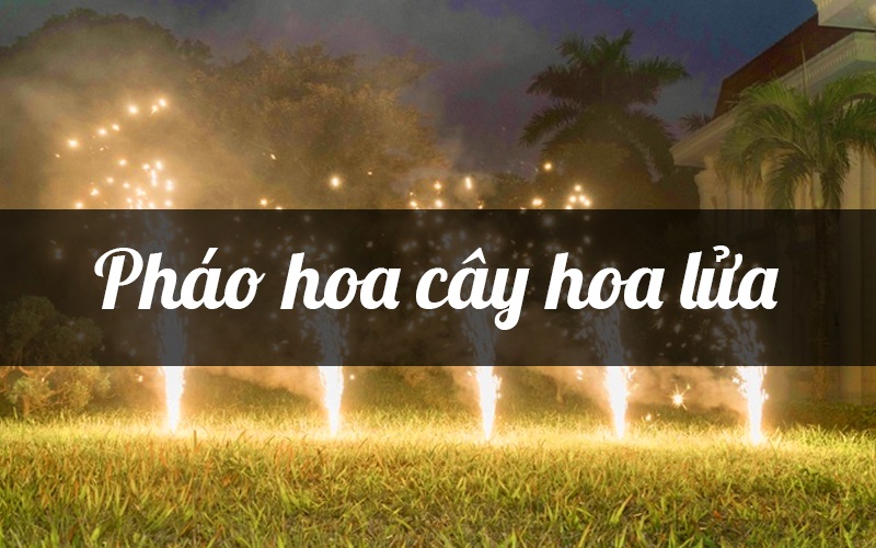 Hiệu ứng ánh sáng của pháo hoa ống phun hoa lửa cầm tay