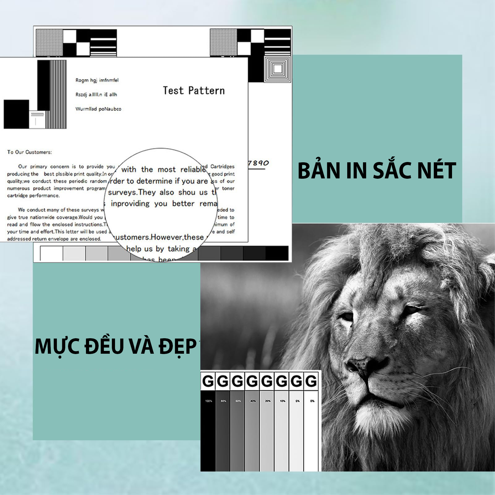 Mực in brother TNB027