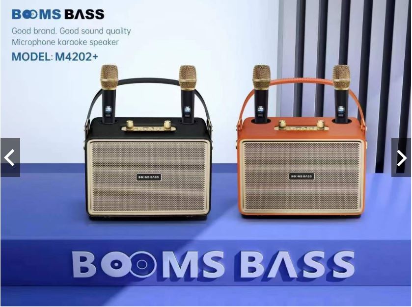 Loa bluetooth Boom Bass M4202+ kèm 2 micro không dây hát karaoke xách tay [BH 6 tháng]