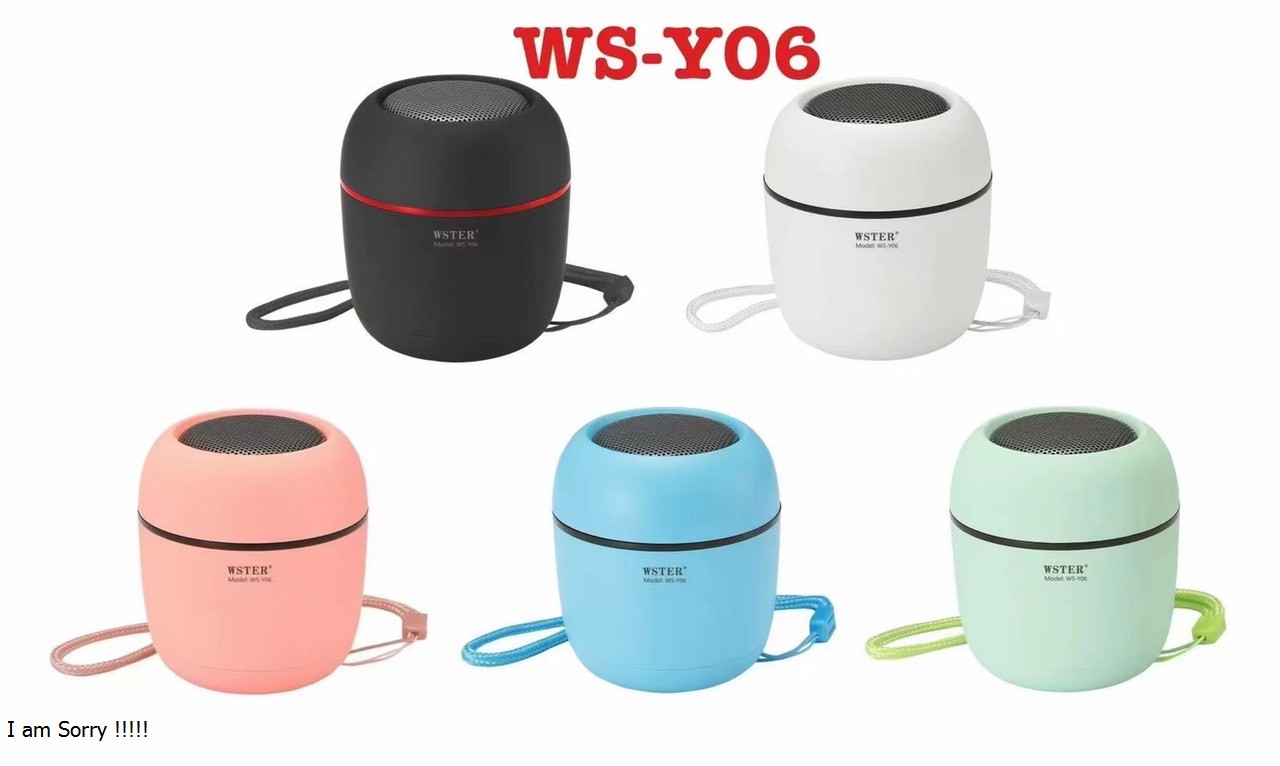 Loa bluetooth WSTER WS-Y06 chính hãng [BH 6 tháng]