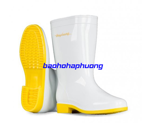 Ủng thùy dương màu trắng