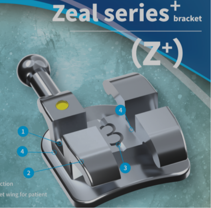 Mắc Cài Inox Thường (Z+)_DTC