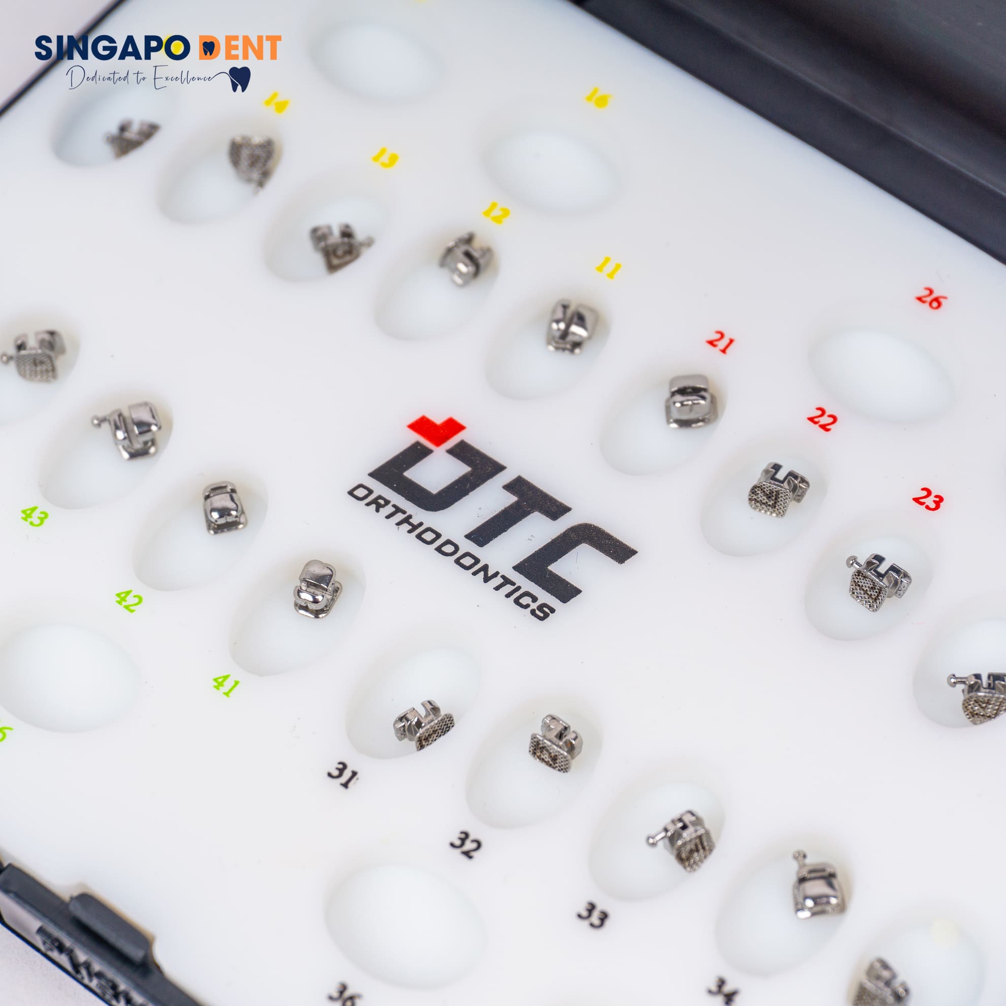 Mắc Cài Tự Đóng Cánh Cam Cải Tiến - DTC