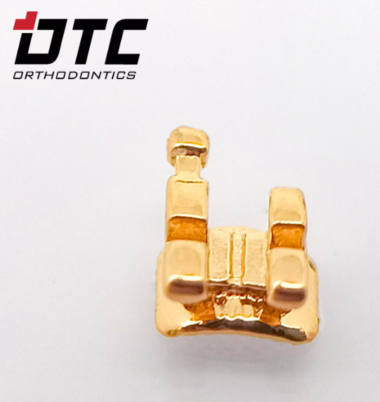Mắc cài inox thường Gold_DTC