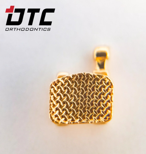 Mắc cài inox thường Gold_DTC