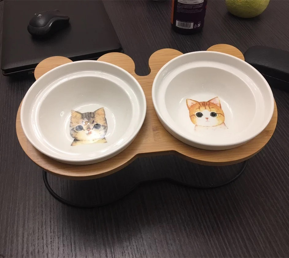 Bát ăn cho mèo đẹp, độc, tiện lợi
