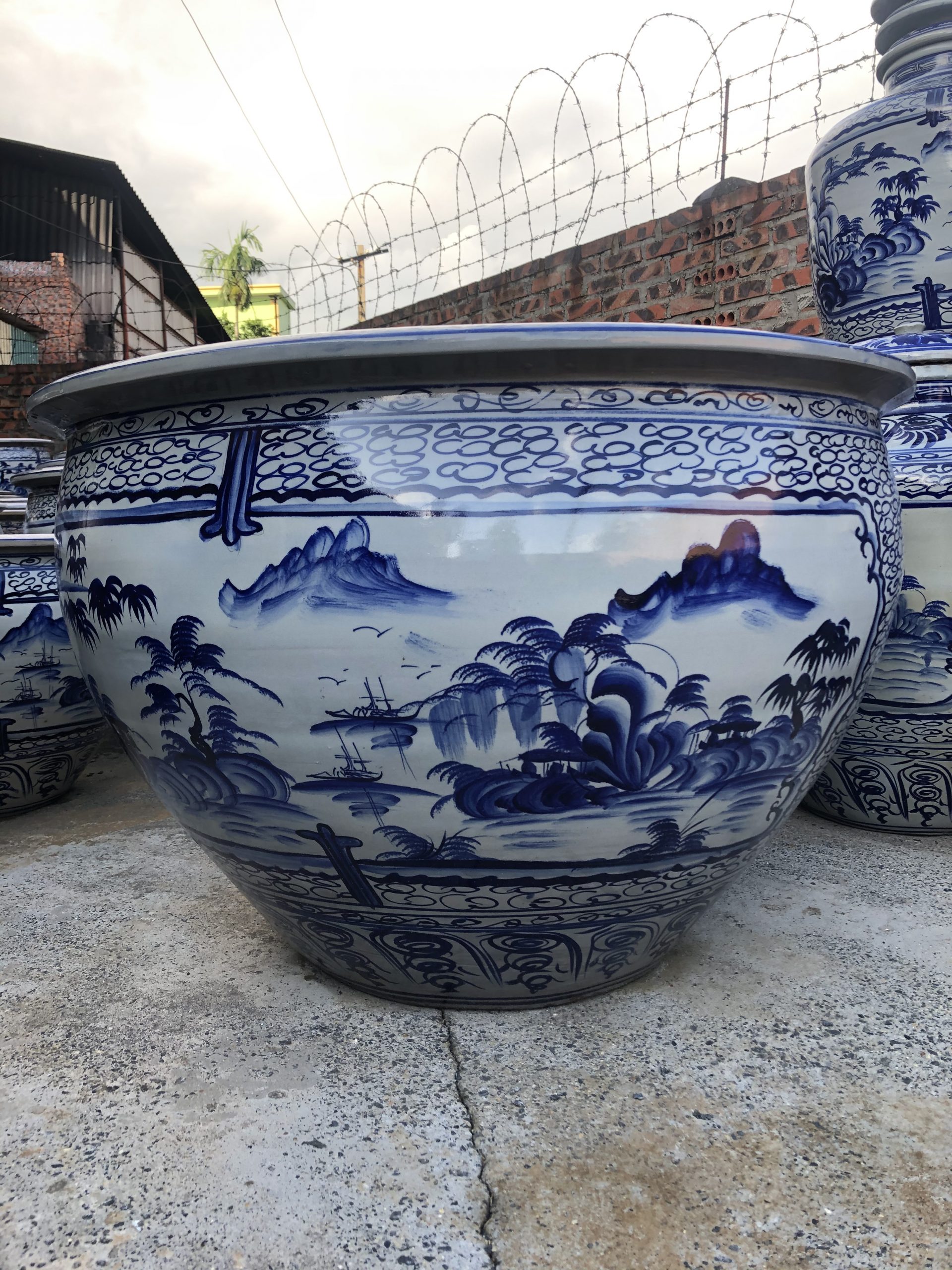 cac-loai-chau-sanh-co-gia-thanh-vo-cung-hop-ly