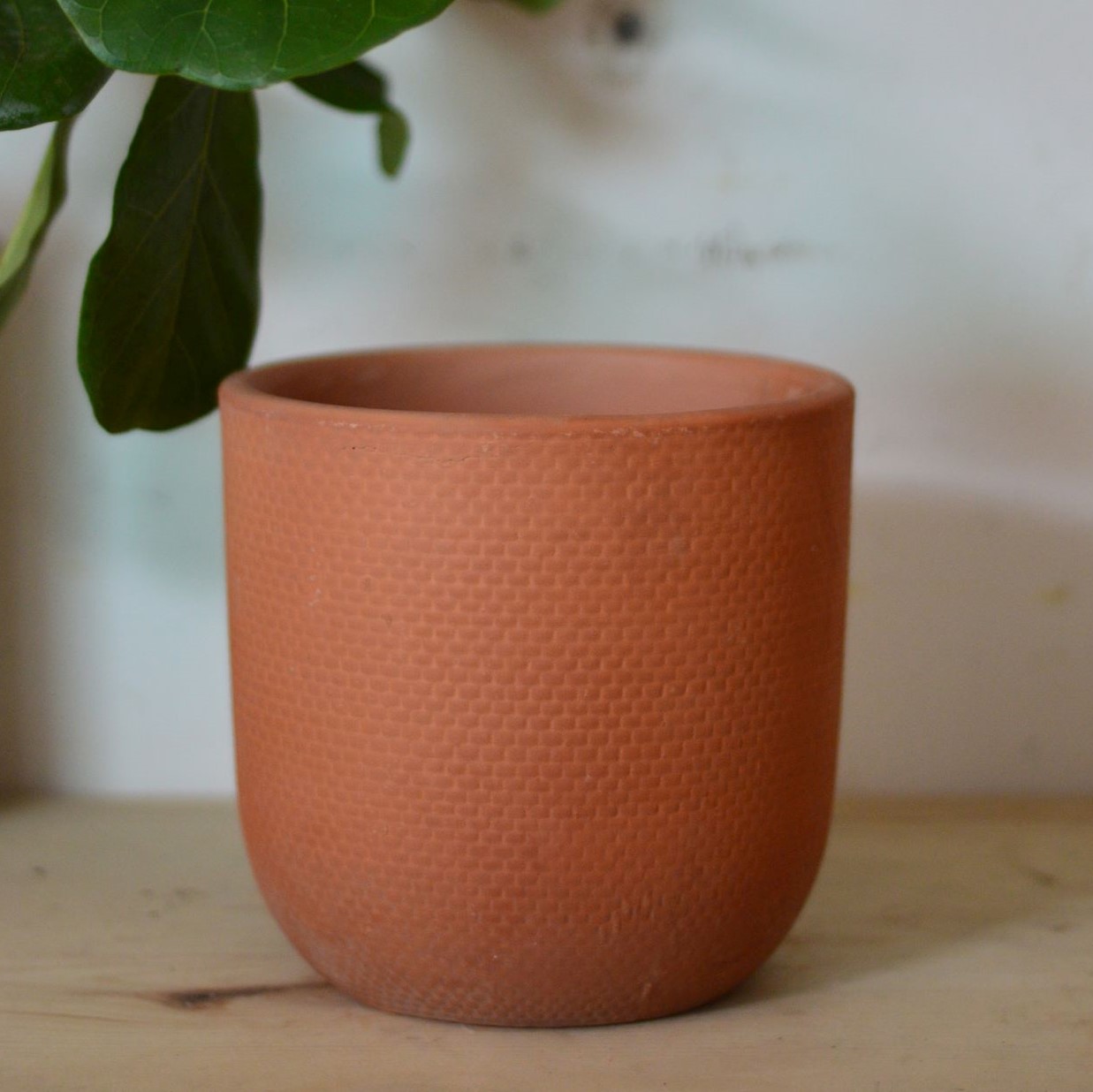 /chau-cay-canh-co-kha-nang-chiu-luc-chiu-nhiet-thoat-nuoc-tot