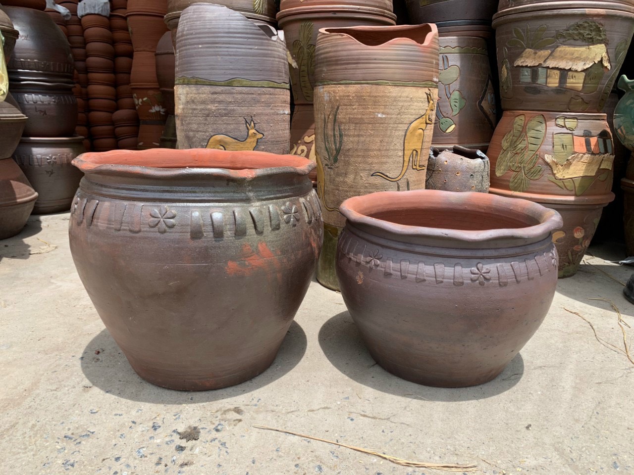 chau-sanh-co-chat-luong-va-do-ben-bi-cao