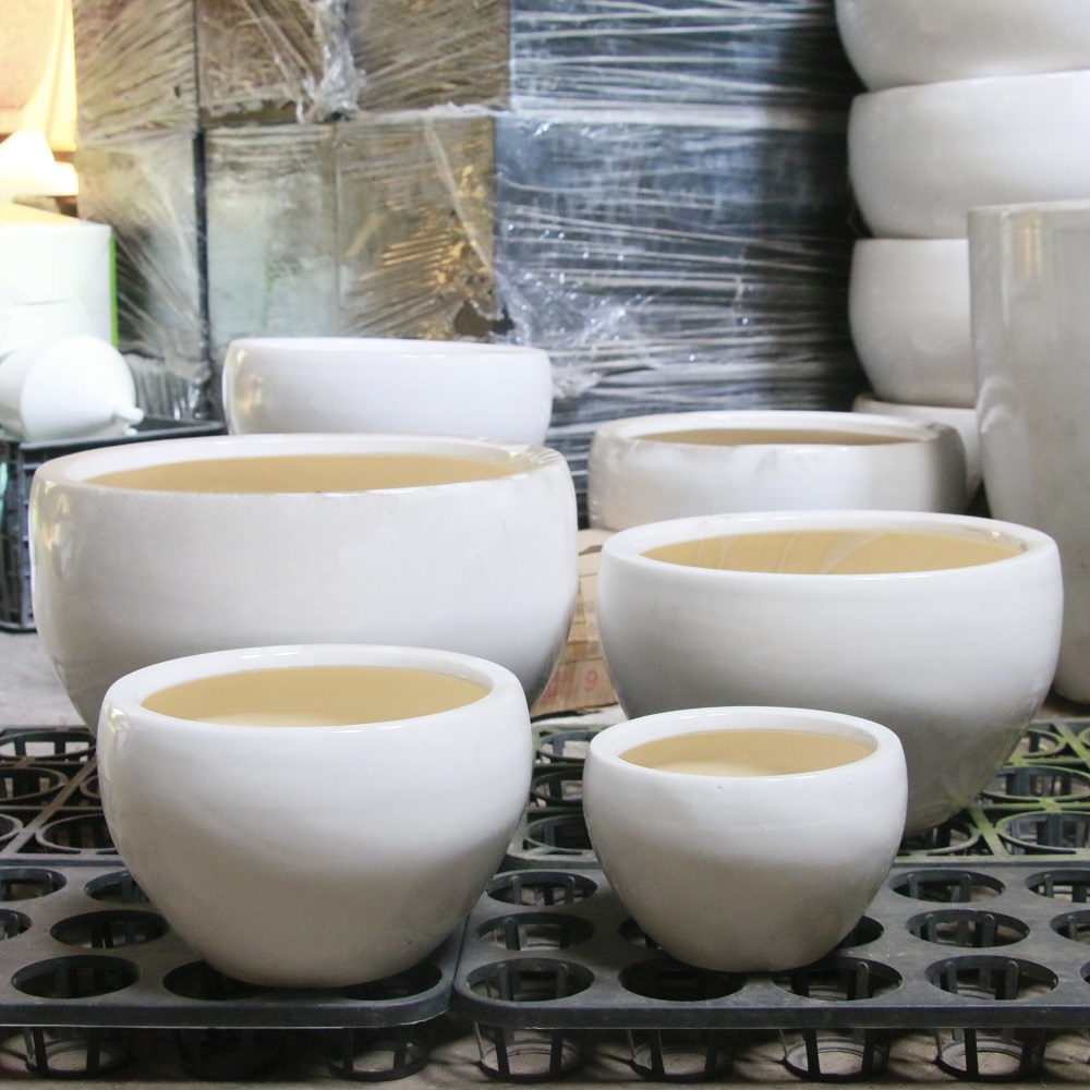 chau-sanh-trong-sen-nhap-khau-tu-nuoc-ngoai-co-chat-luong-cao