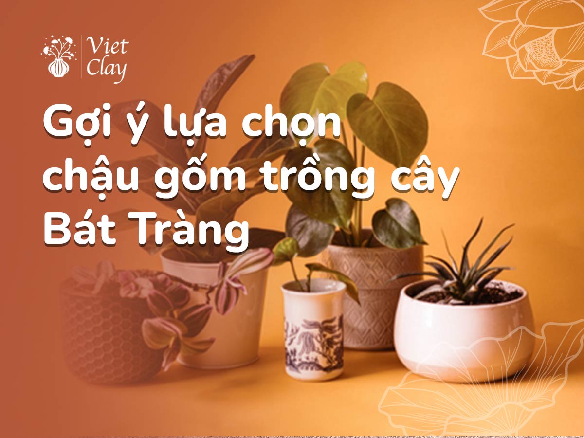 Chậu Gốm Sứ Trồng Cây Bát Tràng {Tốt 2022}