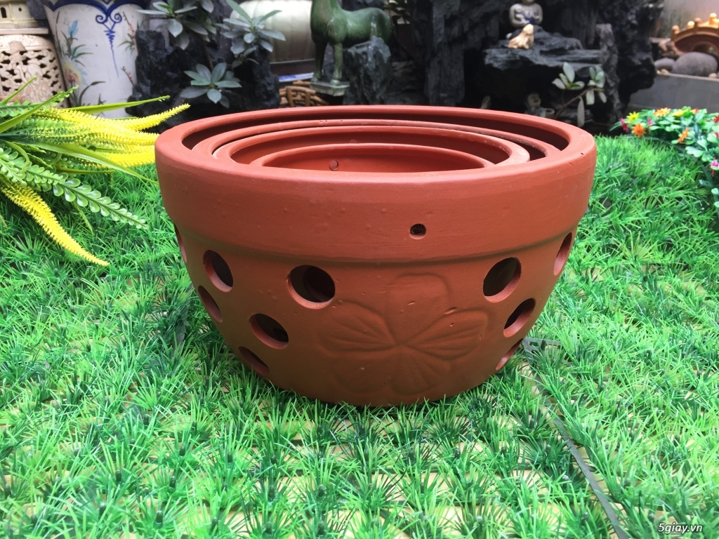 uu-diem-cua-cac-chau-cay-canh-co-lon