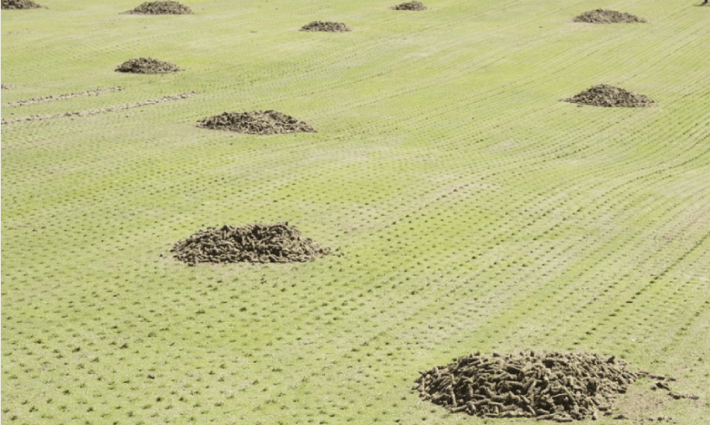 5 lý do tại sao sục khí là yếu tố quan trọng đối với một sân golf