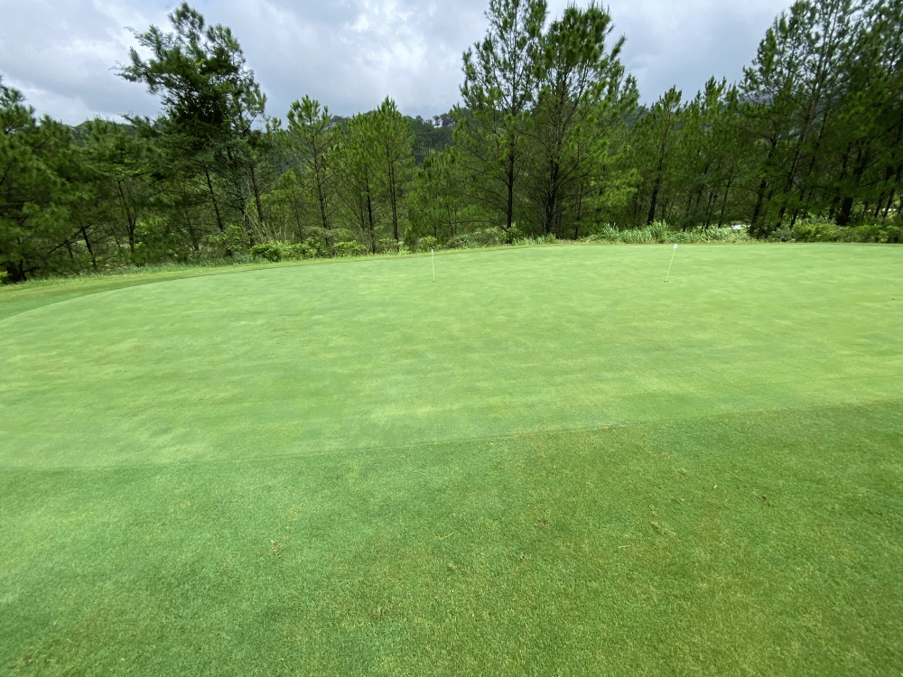 sử dụng hệ thống tưới nước tự động