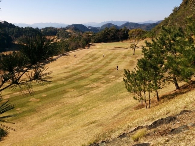 Các bản vá lỗi lớn thường xuyên xảy ra trên fairway