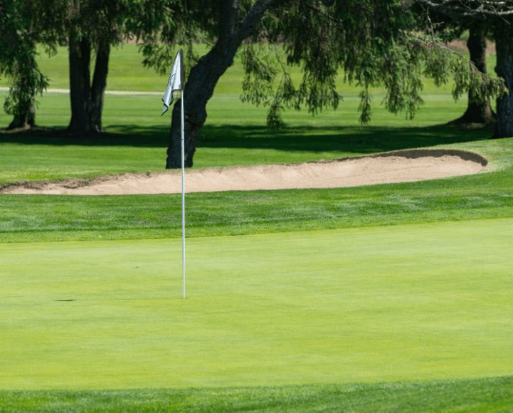 Các loại cỏ tốt nhất cho sân golf năm 2025