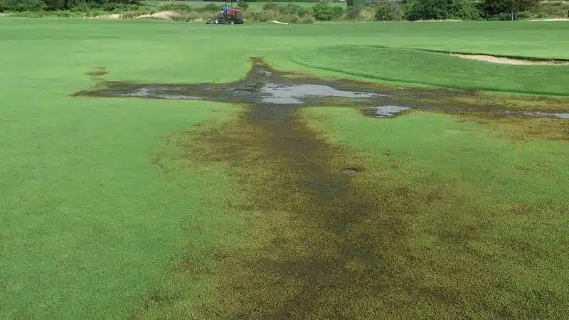 Các sân golf duy trì khả năng chơi