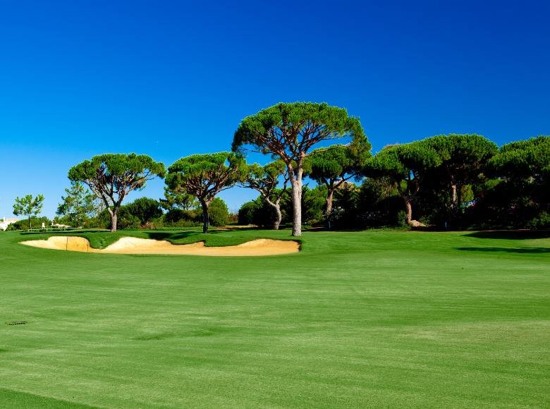 Các thành phần thiết yếu trong việc quản lý sân golf