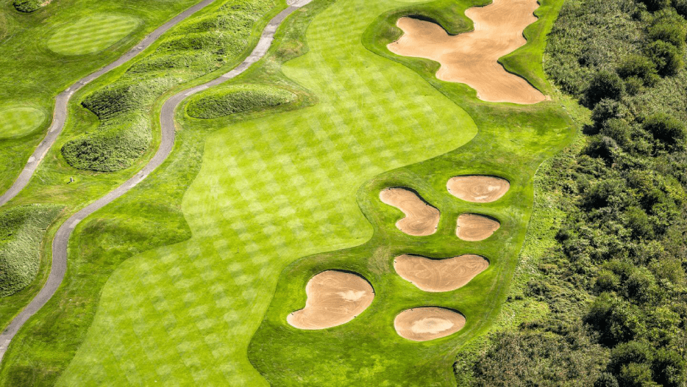 Cách chọn loại cỏ tốt nhất cho các khu vực khác nhau trên sân golf của bạn