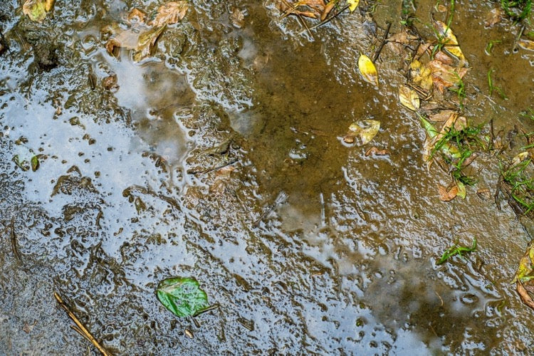 Cách khắc phục đất bị nén chặt