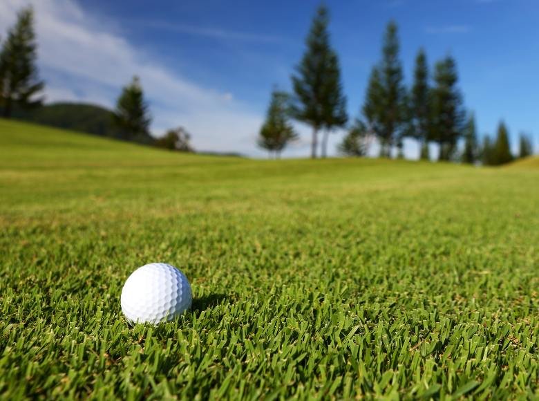 Cách tạo và duy trì thảm cỏ sân golf đàn hồi