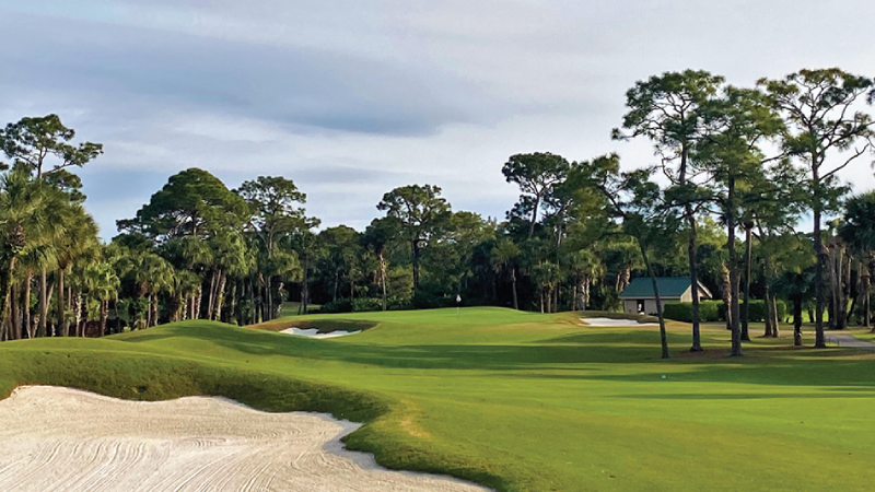 cải tạo đường golf