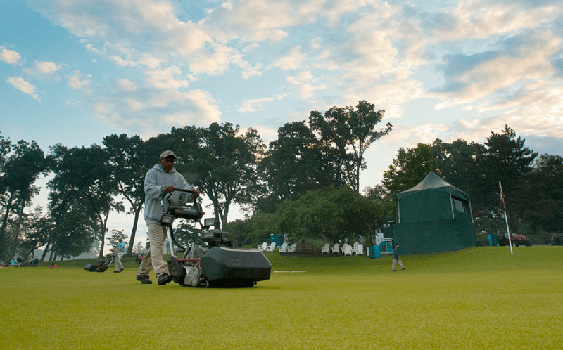 cải thiện sức khỏe của cỏ sân golf