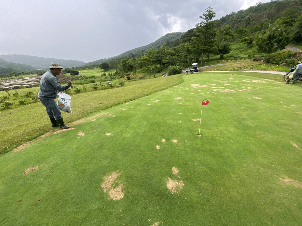 cát dùng làm lớp nền cho sân golf