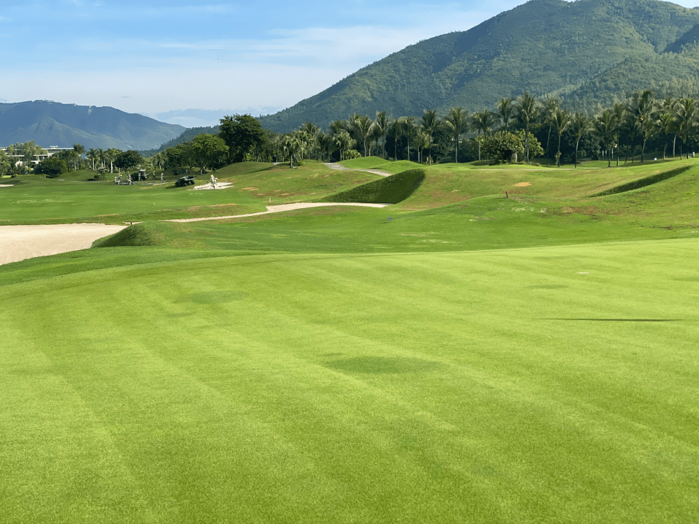 Cấu tạo của sân golf gồm: Tee, Fairway, Green, Hazards