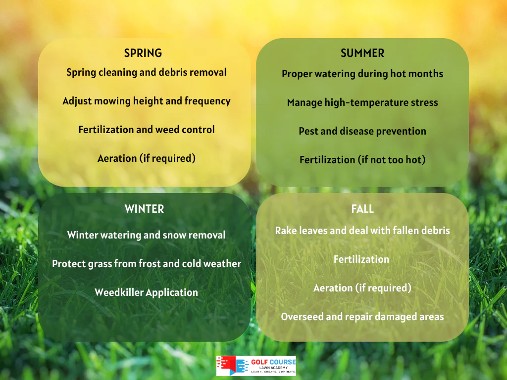 chăm sóc bãi cỏ