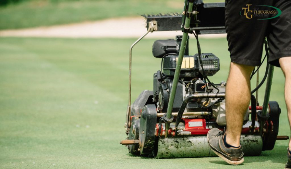 chăm sóc máy cắt cỏ sân golf