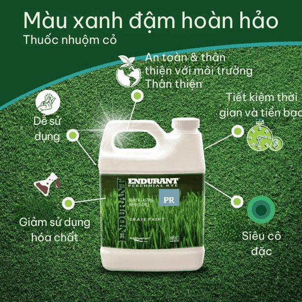 Chất tạo màu sân golf Endurant Perennial Rye