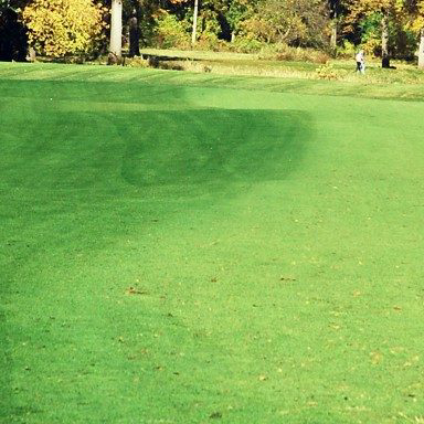 Chất tạo màu cỏ Green Lawnger