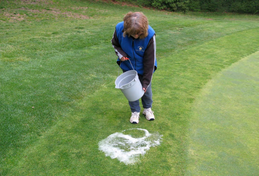 Chiến lược kiểm soát dịch bệnh và sâu bệnh phổ biến ở sân golf mùa đông