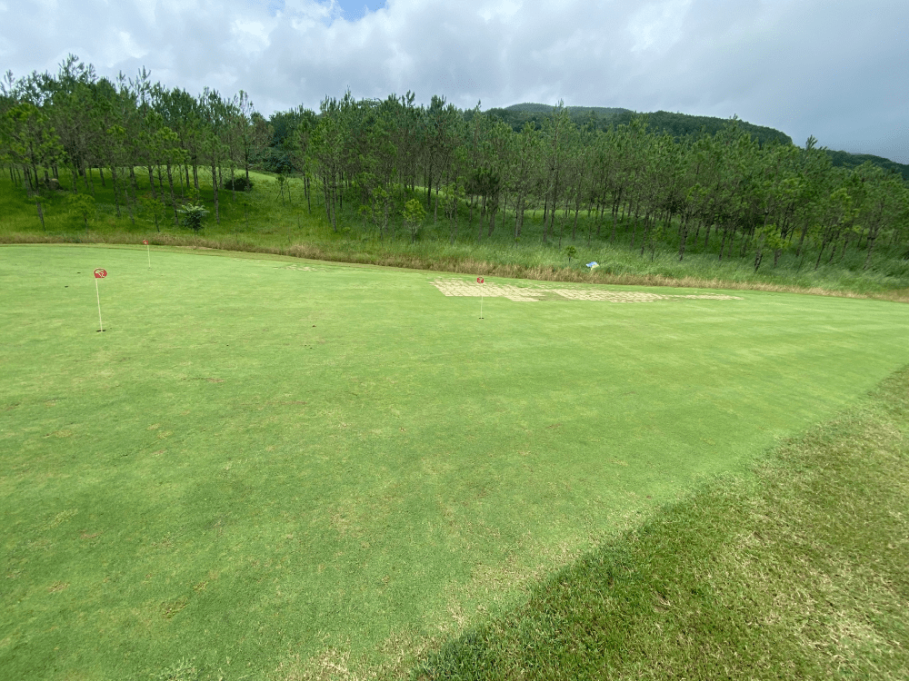 Green - vùng cỏ xung quanh lỗ golfGreen - vùng cỏ xung quanh lỗ golf