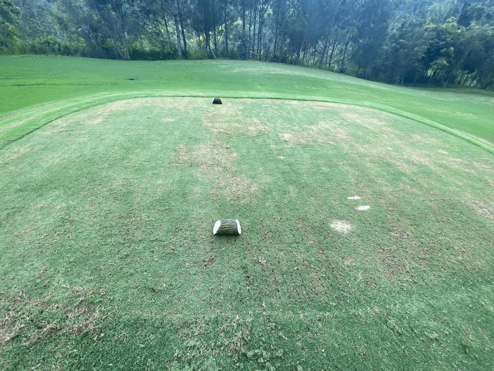 Fairway Vùng chính của sân golf