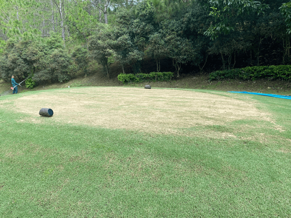 Hùng Anh T&C cung cấp cát sân golf