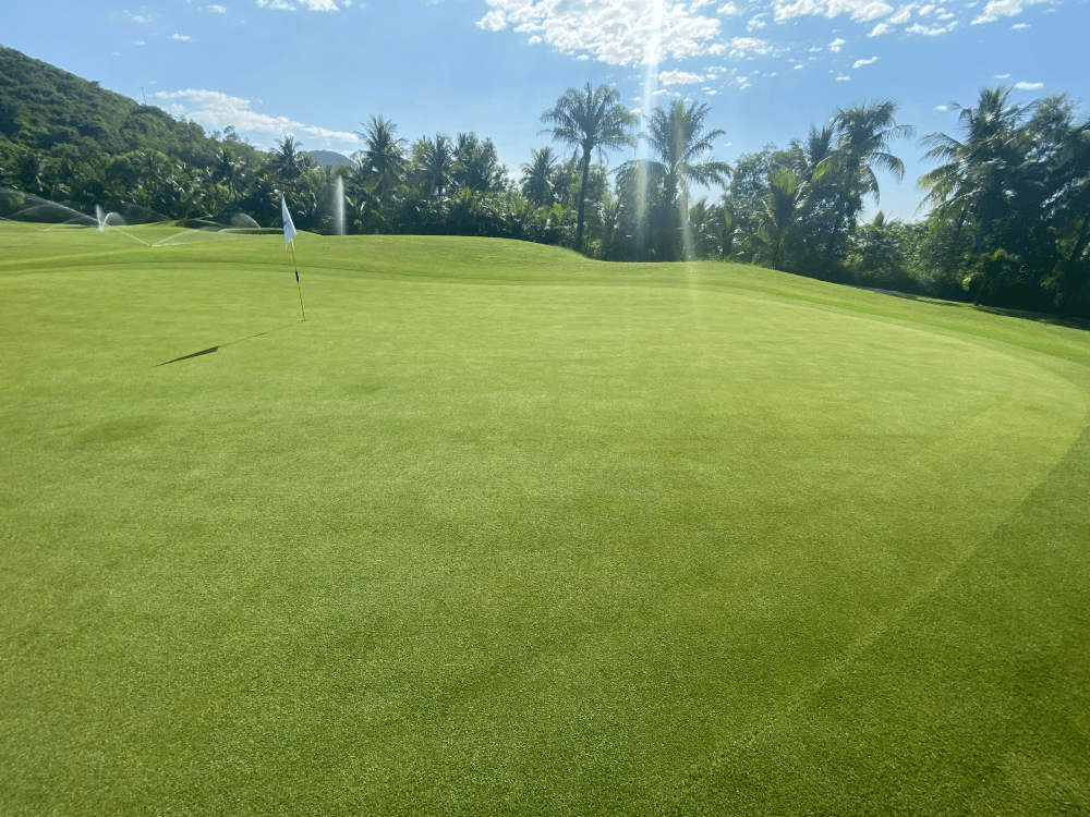 Đường kính tiêu chuẩn của lỗ golf là 10.79cm