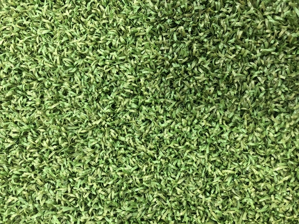 Cỏ sân golf nhân tạo HA-OL15