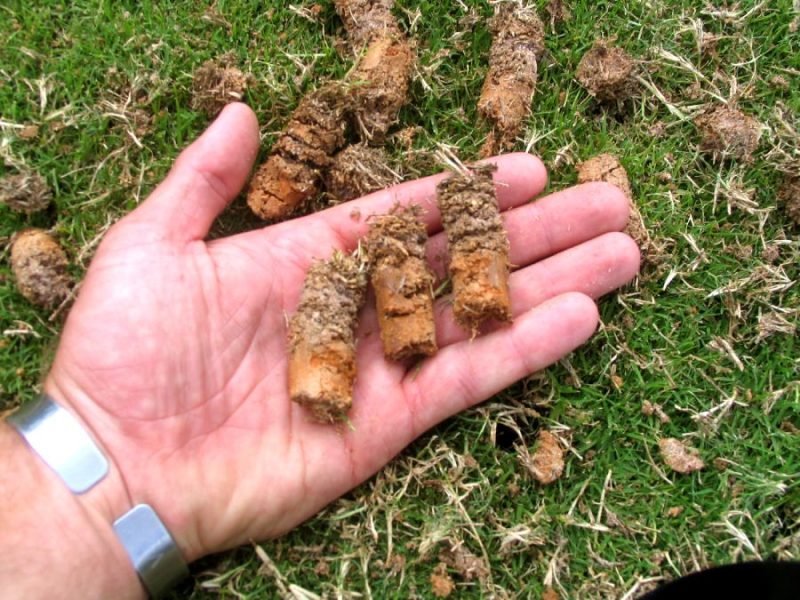 Hiểu về lớp mùn