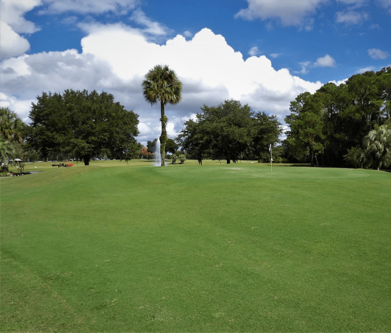 Hướng dẫn cắt cỏ đúng cách