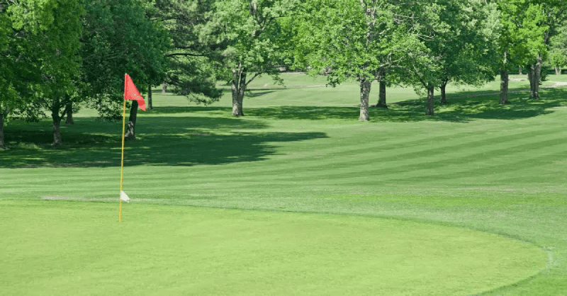 Khám phá vai trò của công nghệ trong quản lý sân golf hiện đại