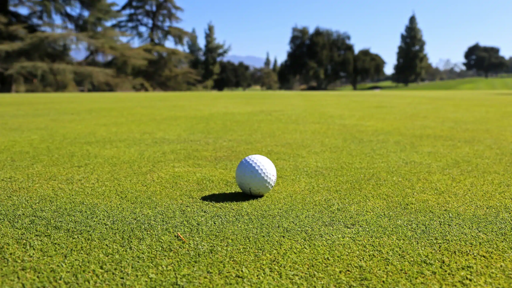 Khí hậu tác động đến chất lượng cỏ sân golf