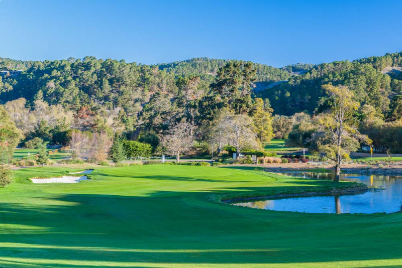 thuê chuyên gia tư vấn sân golf