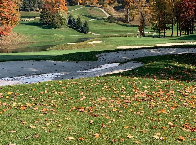 Kỹ thuật kiểm soát cỏ dại mùa thu cần thiết cho sân golf