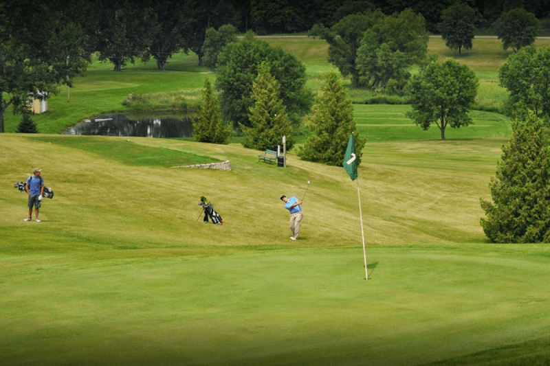 Làm mới sân golf để có vùng green hoàn hảo