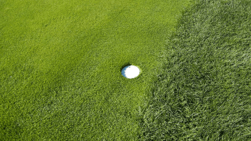 Máy cắt cỏ Fairway cải thiện chất lượng